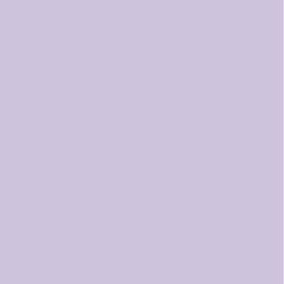 Solid Colors 89 | lilac