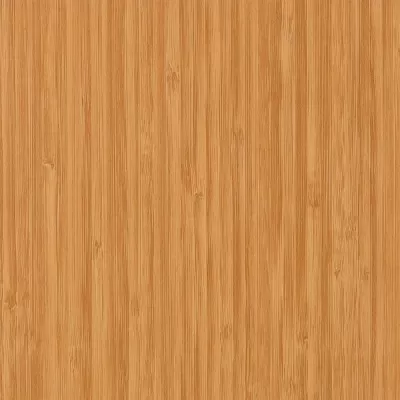 Evo Gloss - Bambu