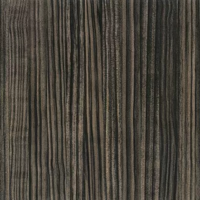 Polylac Wood - 9120